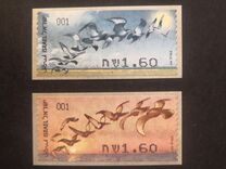 [Birds of Israel, Tip BWW]