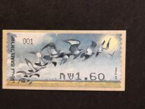 [Birds of Israel, type BWW]
