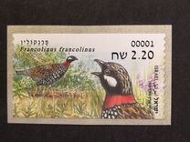 [Birds of Israel, type BWW]