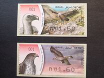[Birds of Israel, type BWW]