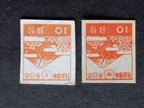 [Local Motifs, type FF1]