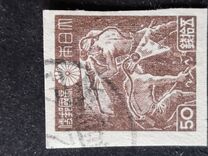 [Local Motifs, type FZ]