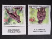 [Birds - European Protection of Nature, 유형 TA]