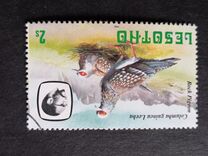 [Birds, Вид KX]