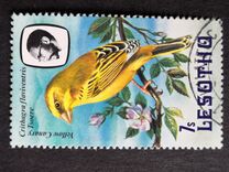 [Birds, Вид LB]