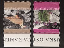 [Birds - Greek Partridge, type DD]