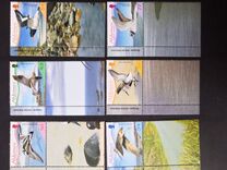[Birds - Waders, type MM]