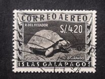 [Airmail - Local Motifs, type F]