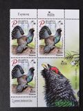 [Bird of the Year - Western Capercaillie, type BAG]