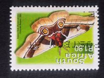 [Moths, type AXY]