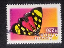 [Moths, type AXZ]