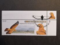 [Birds - Eagles, 유형 XC]