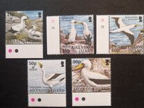 [Birdlife International - Masked Booby, type AEM]