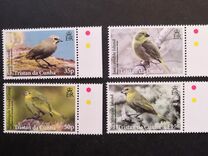 [Birds - Finches, tyyppi AQP]