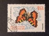 [Butterflies, type KJ]