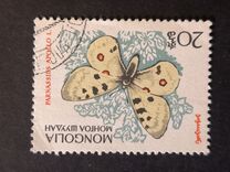 [Butterflies, type KK]