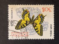[Butterflies, type KL]