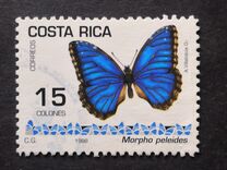 [Butterflies, type AOJ]