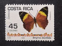 [Butterflies, type AOO]