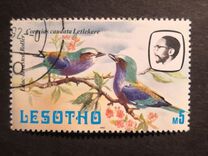 [Birds, Вид LJ]