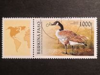 [Birds, տեսակ OQ]