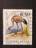 [Migratory Birds, type CQO]