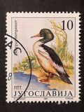 [Migratory Birds, type CQP]