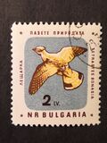 [Nature Conservation - Birds, type AMA]