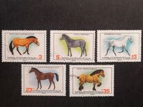 [Horse Breeds, 類型 DAO]