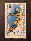 [World Ski Racing Cup, Borovec, type DBF]