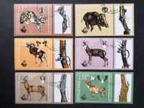 [Hunting - Game Animals - EXPO `81, Plovdiv, տեսակ DCG]