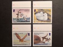 [Conservation Organization "Birdlife International", Tipi PC]