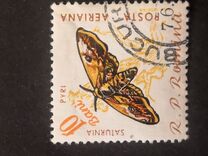[Butterflies & Moths, type BTG]