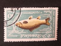 [Fish, type BTP]