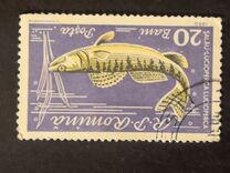 [Fish, type BTQ]