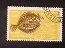 [Fish, type BTR]