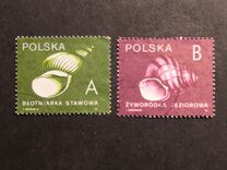 [Stamps for Domestic Mail: Shells of Snails, Tip DDD]
