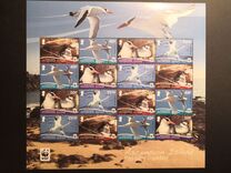 [WWF - Birds. Without White Frame, type ANI1]