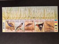 [Grassland Birds, type BRN]