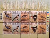 [Grassland Birds, type BRN]