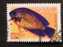 [Fauna and Flora - Fish, type ASS]