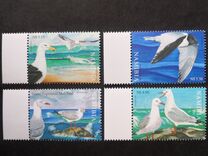 [Seagulls of Namibia, type ST]