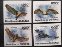 [Birds - Owls, type BOW]