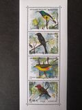 [Native Birds, 类型 CP]