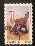 [Birds, タイプ RH]