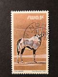 [Wild Mammals, type HM]