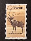 [Wild Mammals, type HN]