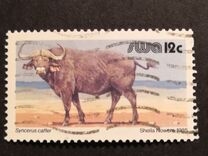 [Wild Mammals, type KY]