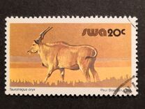 [Wild Mammals, type HT]