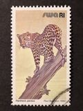 [Wild Mammals, type HX]